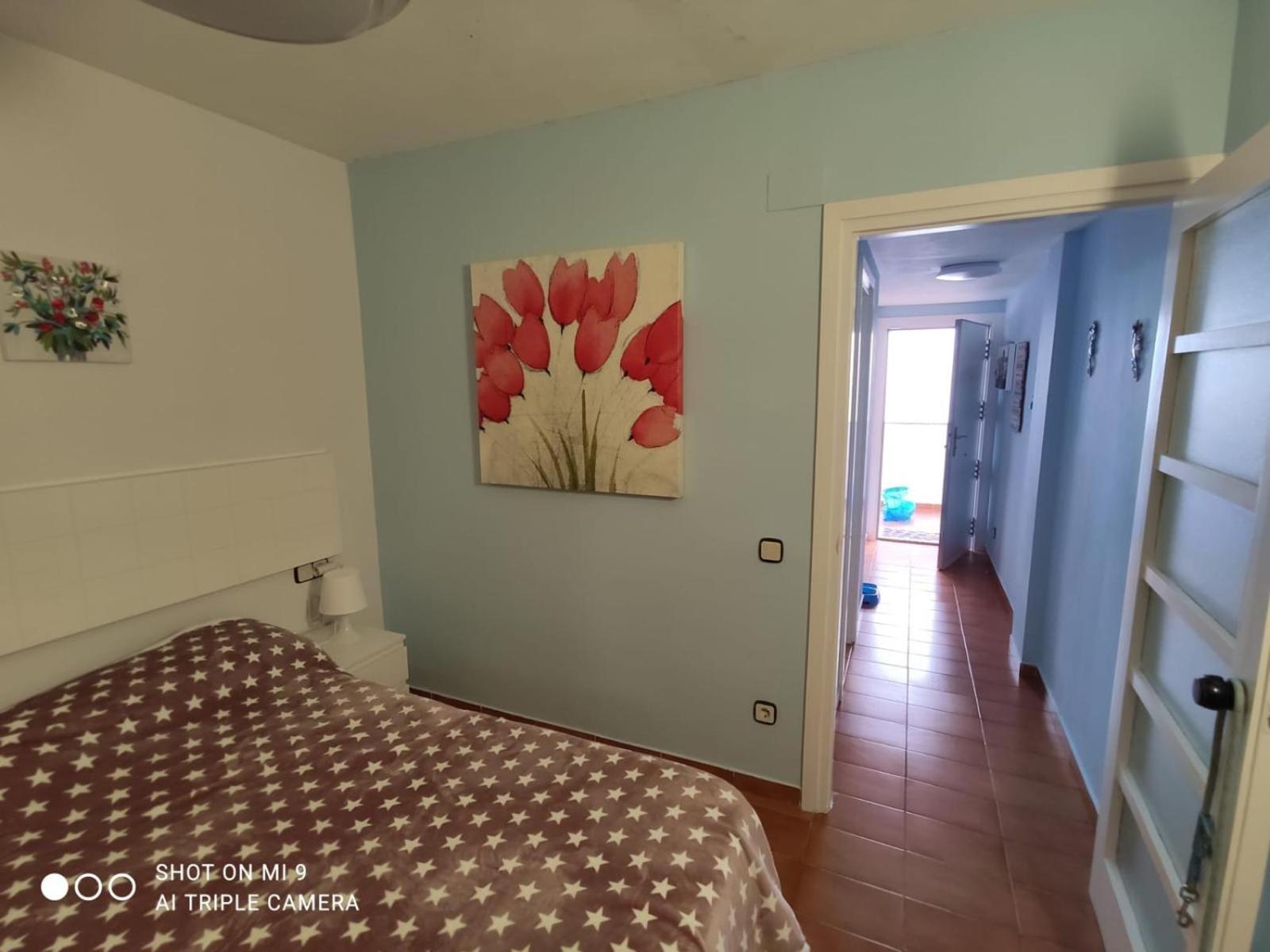 Apartamento Tossa Tossa de Mar Ngoại thất bức ảnh